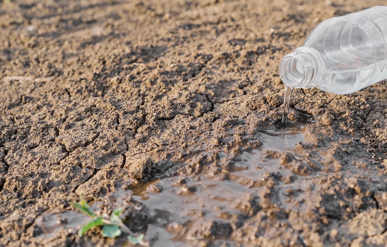 Límite líquido, límite plástico e índice de plasticidad de suelos
